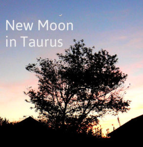 New Moon in Taurus: The Desire For Happiness | Vedic Astrology Forecast for June 4th, 2016 | taurus, Living With Tantric Awareness, Tools for Transformation, Vedic Astrology, Vedic Astrology Forecasts new moon in taurus