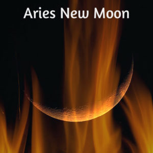 New Moon in Aries: Time for Action, Need For Change and Trump | Vedic Astrology Forecast for May 6th, 2016 | new moon in aries, Living With Tantric Awareness, Tools for Transformation, Vedic Astrology, Vedic Astrology Forecasts new moon in aries