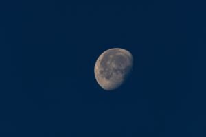 New Moon in Scorpio: Awakening Your Inner Power | Vedic Astrology Forecast for November 29, 2016 | scorpio, Living With Tantric Awareness, Tantra, Tools for Transformation, Vedic Astrology, Vedic Astrology Forecasts New Moon in Scorpio: Awakening Your Inner Power | Vedic Astrology Forecast for November 29, 2016 | scorpio, Living With Tantric Awareness, Tantra, Tools for Transformation, Vedic Astrology, Vedic Astrology Forecasts