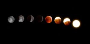Full Moon in Taurus: Rest and Enjoyment Brings Balance | Vedic Astrology Forecast for December 13, 2016 | taurus, Living With Tantric Awareness, Tools for Transformation, Vedic Astrology, Vedic Astrology Forecasts taurus full moon